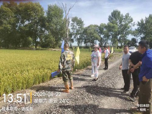 ͨ�ķ��r�Ƹ����;��׏ͺϷ���ˮ���ϵ�Ч�����F