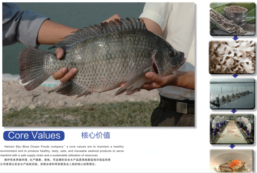 20190924141827_39653.png 20190924141827_39653.png